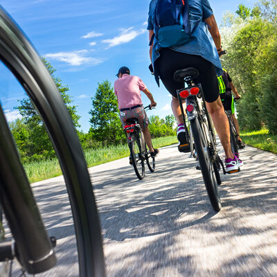 Es fahren mehrere Personen auf einem Fahrrad. Man sieht sie von hinten. Sie fahren auf einem Weg. Neben dem Weg ist eine gr&uuml;ne Wiese. Der Himmel ist blau.