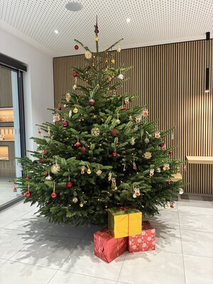 Bild vergr&ouml;&szlig;ern: Ein geschm&uuml;ckter Tannenbaum. Davor liegen Geschenke.