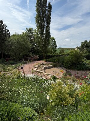 Bild vergr&ouml;&szlig;ern: Das Bild zeigt einen Garten.