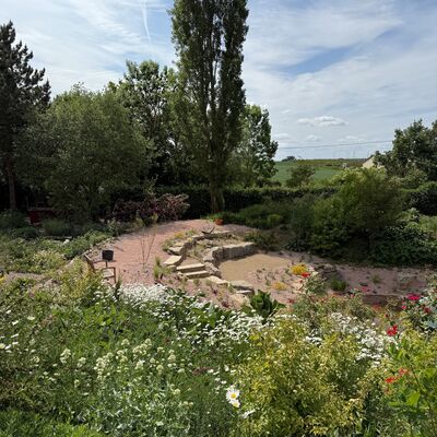 Das Bild zeigt einen Garten.