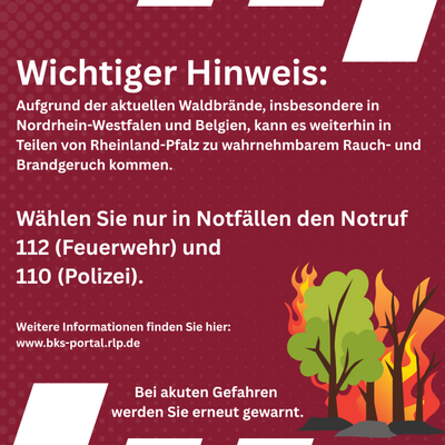 Das Bild zeigt einen Plakat. Es weist auf die Waldbr&auml;nde hin. Dadurch kann es nach Feuer riechen. 