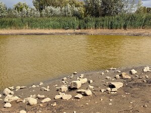 Bild vergr&ouml;&szlig;ern: In einem See ist weniger Wasser. Er wird jetzt gereinigt.
