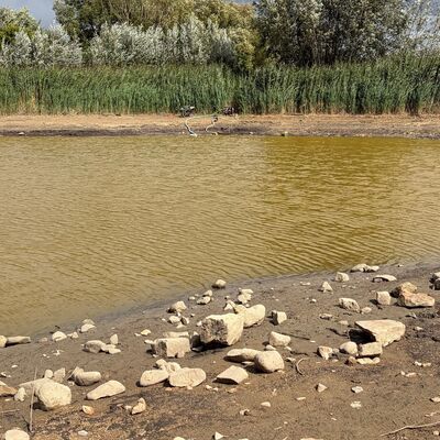 In einem See ist weniger Wasser. Er wird jetzt gereinigt. 
