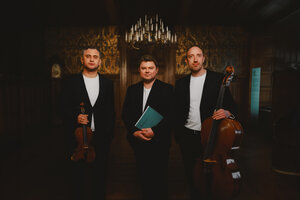 Bild vergr&ouml;&szlig;ern: Das Bild zeigt die Musiker des Nordsee Trios.